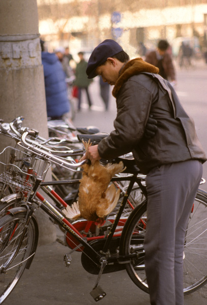 Man with chicken