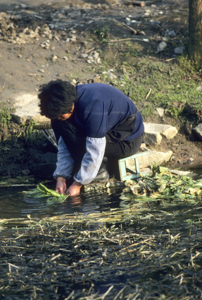 Woman washing vegetables, Hangzhou
