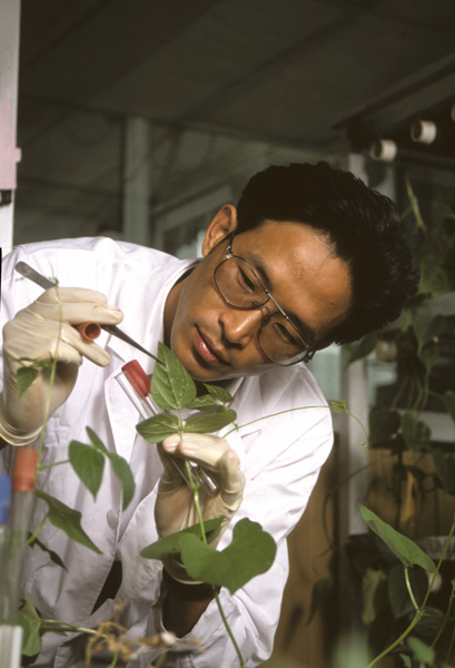 Scientist Chen Zhangliang