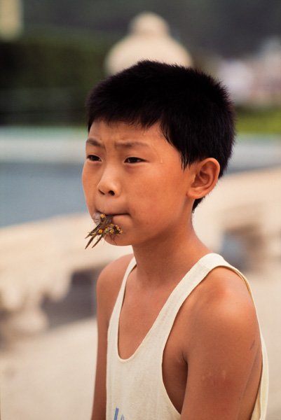 Child with dragonflies, Tiananmen Square