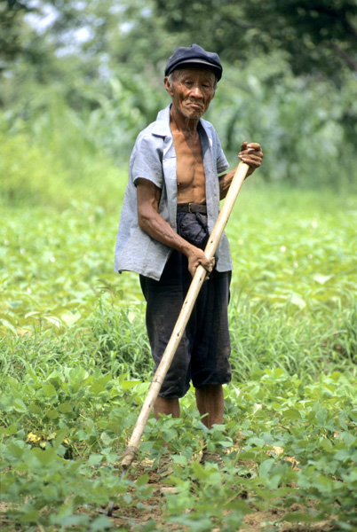 Farmer near Qing Tombs