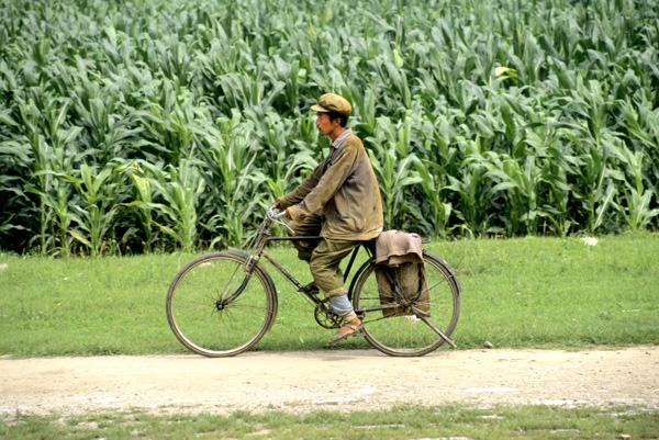 Man on bicycle near Qing tombs