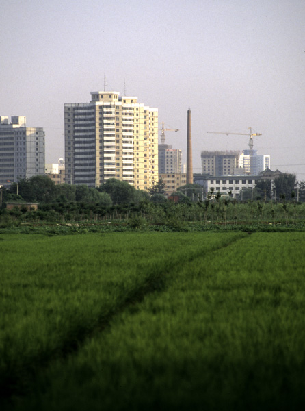 Highrises on edge of field