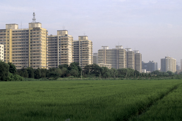 Highrises on edge of field