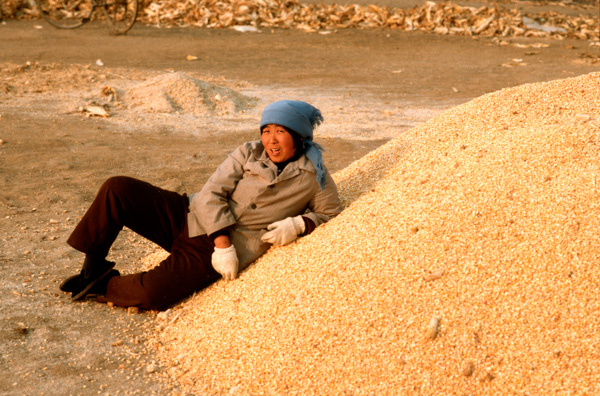 Woman rests amid corn husking