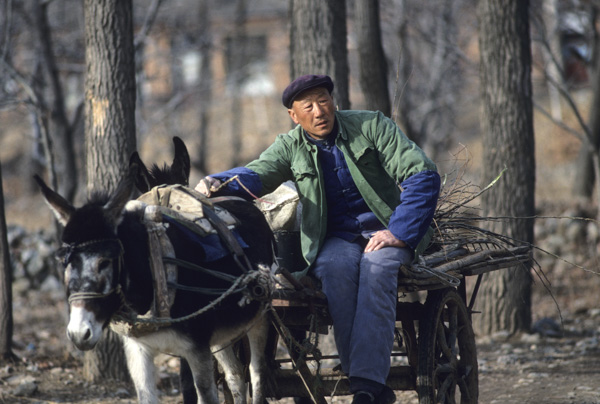Farmer with donkey cart