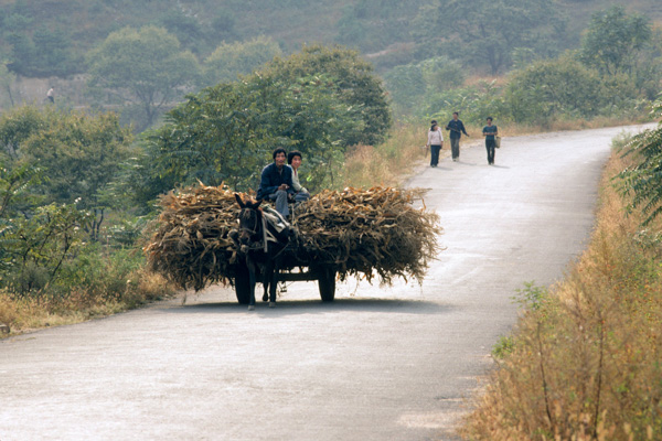 Hauling cornstalks