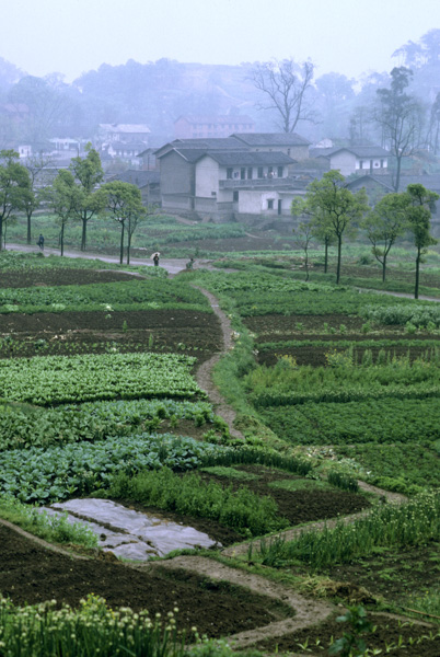 Countryside near Chongqing