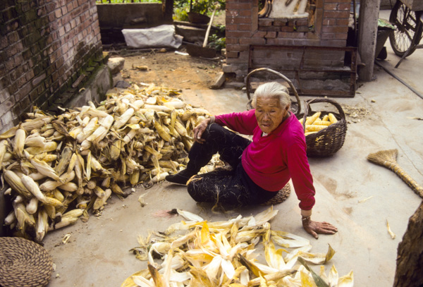 Woman and corn husking