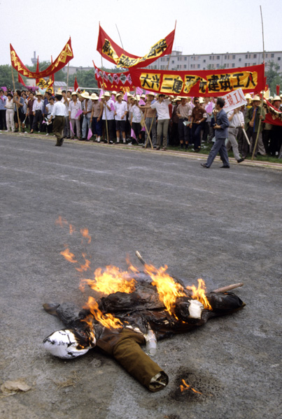 Effigy of Fang Lizhi burned