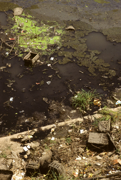 Pollution on moat, Xian