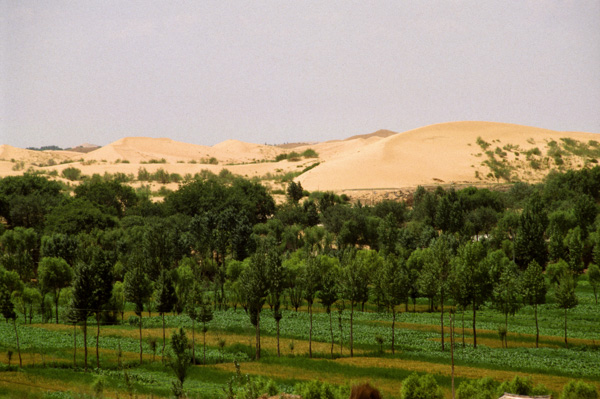 Sand dune above trees and fields, Yulin
