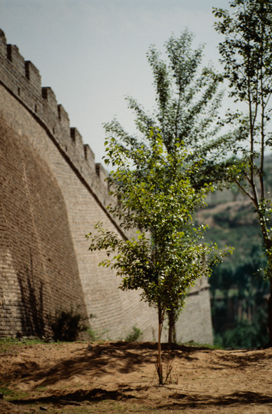 Great Wall, Yulin, China