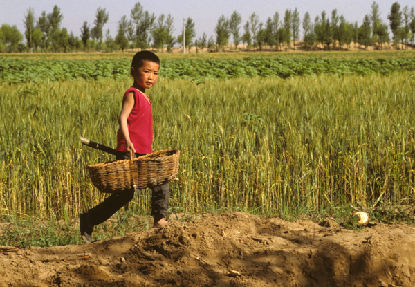 Young boy with basket near desert