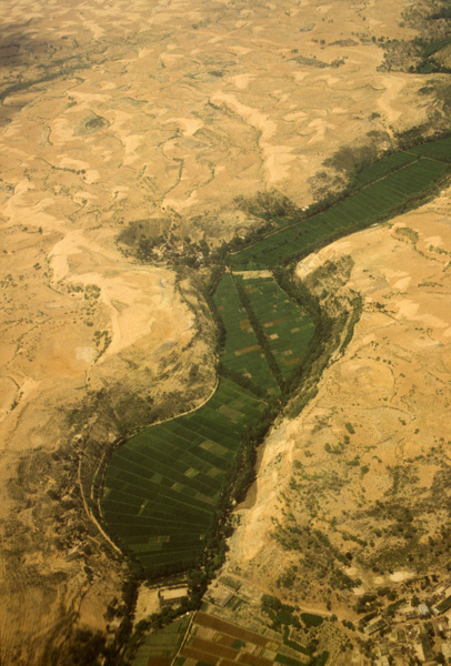 Aerial shot of oasis and Ordos desert