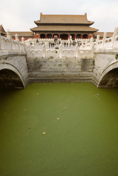 Garbage in Forbidden City Golden River