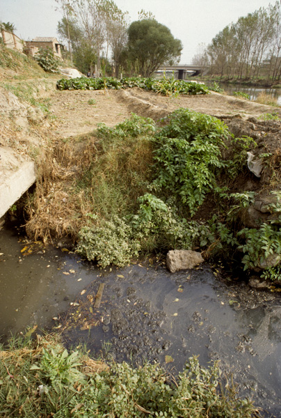 Polluted canal, Beijing