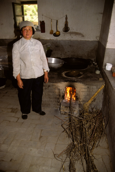 Woman and dried twigs used in stove