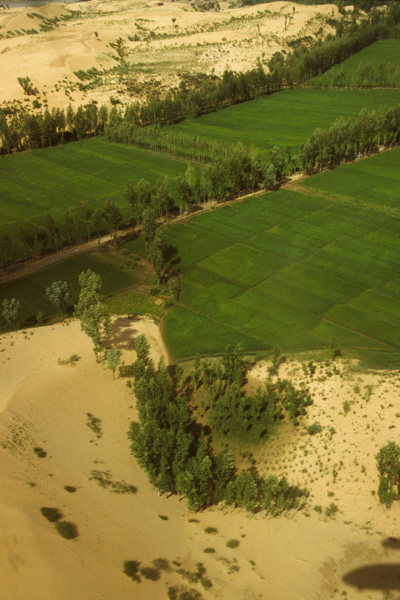 Desert and farmland, aerial view