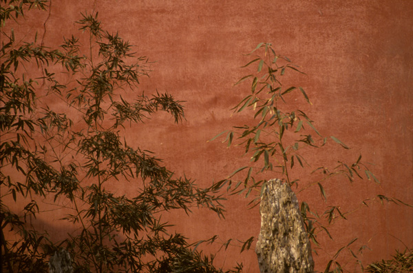 Bamboo and Red wall, Forbidden City