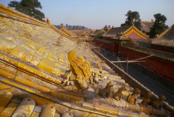 Dragon Tile on Forbidden City Roof