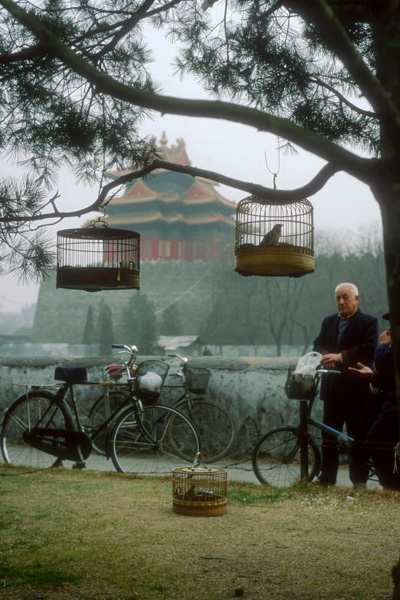 Men with Bird by Forbidden City Tower