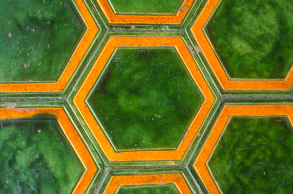 Tiles, Forbidden City