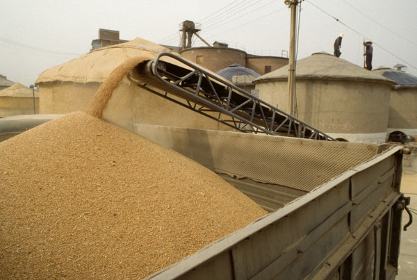 American grain in China