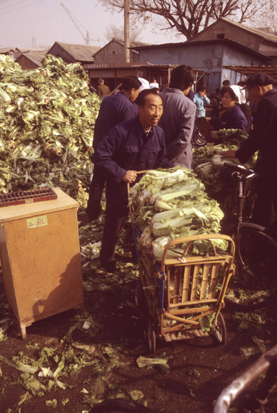 Man hauls away cabbage