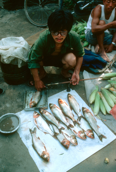 Fish vendor, China