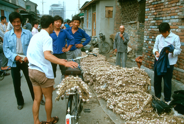 Garlic market