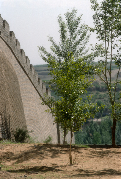 Great Wall, Yulin