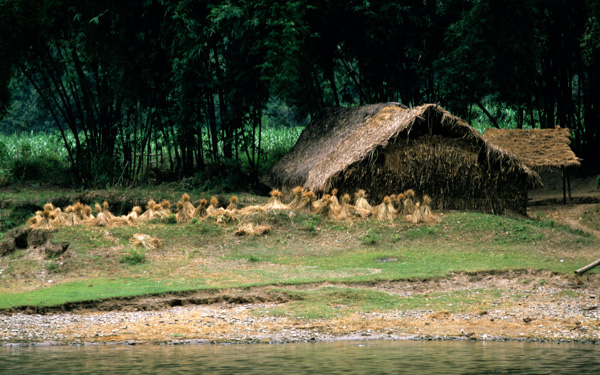 Hut on bank of Li River