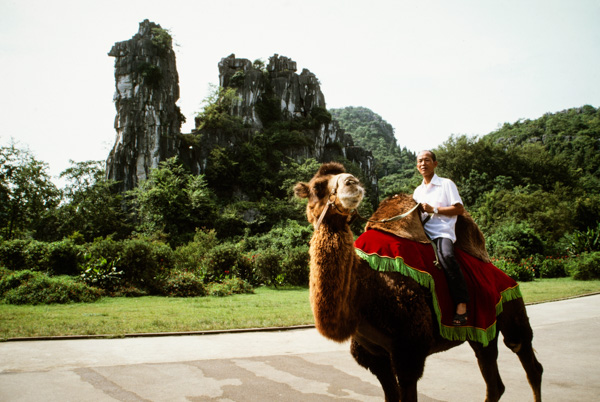 Man on camel and amel-shaped rock, Guilin, China