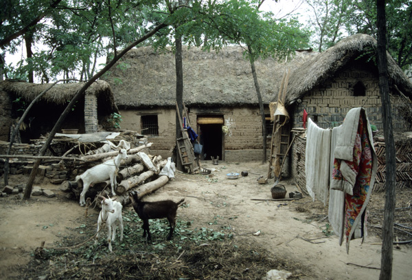 Farmer’s home, Henan