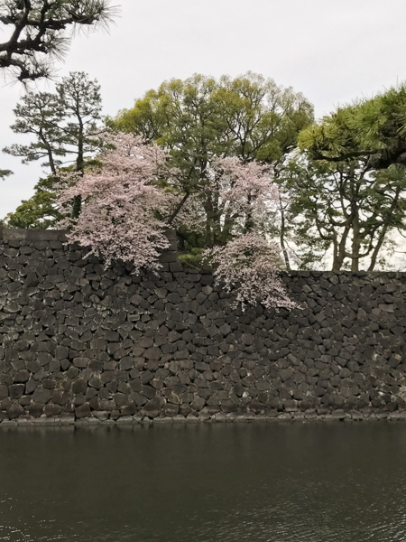 Imperial Palace wall, Tokyo