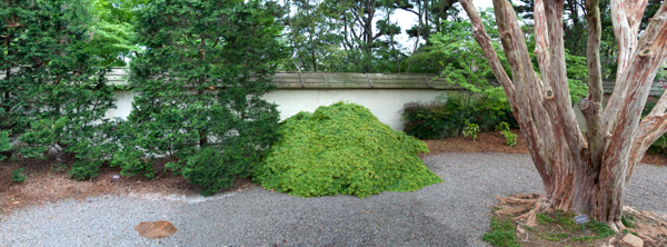 Japanese garden