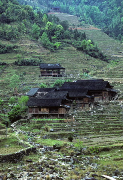 Peace Village area, Guangxi