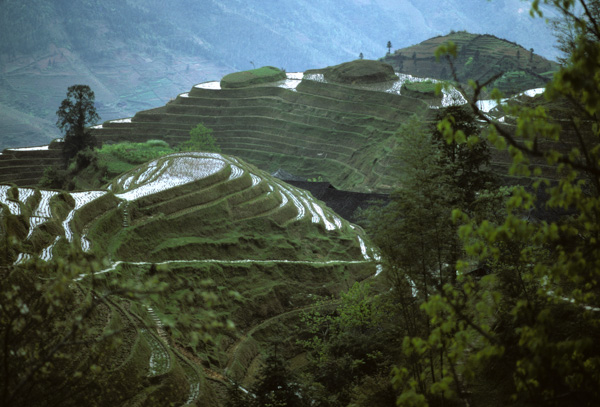 Peace Village terraced hills