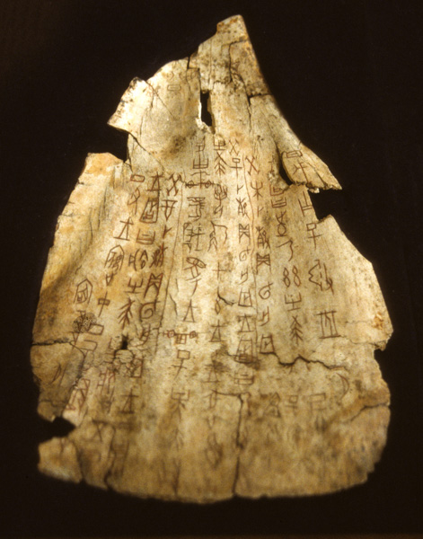 Oracle bone, National History Museum