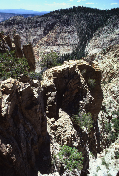 Boulder Mountain, Utah