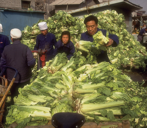 Cabbages being sold