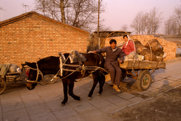 Peasants on horse cart, Beijing