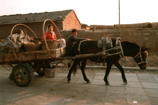 Horse cart, Beijing