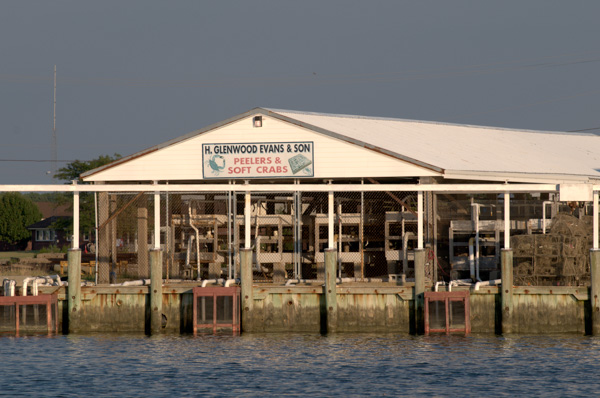Crabbing Business - Crisfield, Maryland
