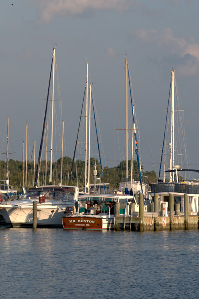 Sailboats in Dock - Crisfield, Maryland