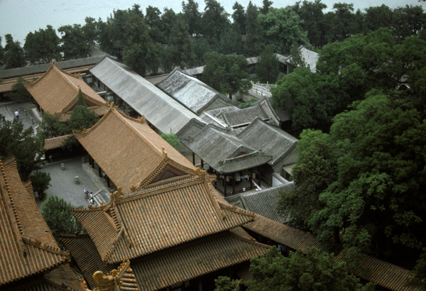 Summer Palace Rooftops
