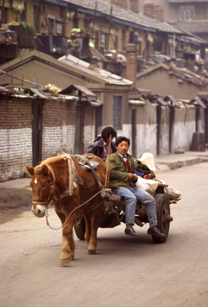 Horse cart, Shenyang, China