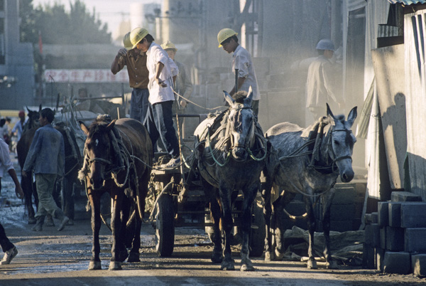 Horse and cart with construction workers