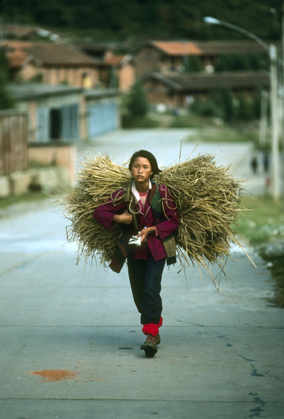 Young woman carrying stalks